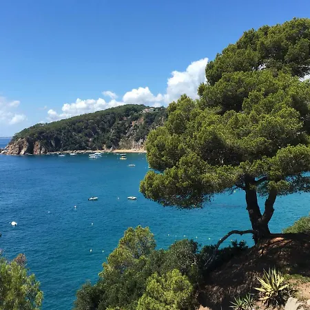 Appartement Face A La Tossa de Mar